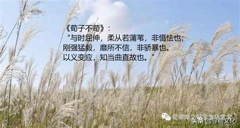 能伸能屈